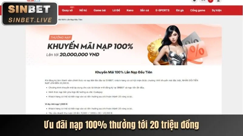 Nhập thông tin tài khoản 8win55